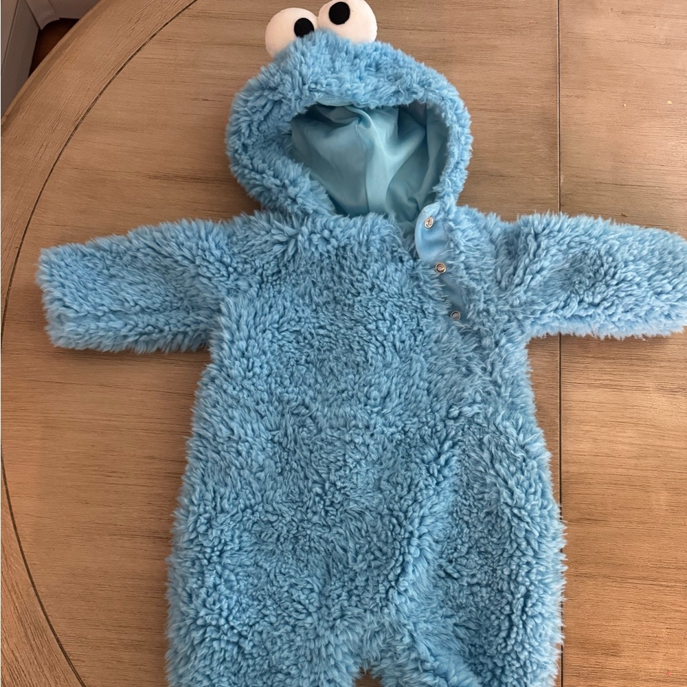 Pottery Barn Kids Cookie Monster Costume